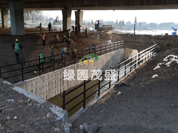 河道护栏1.jpg