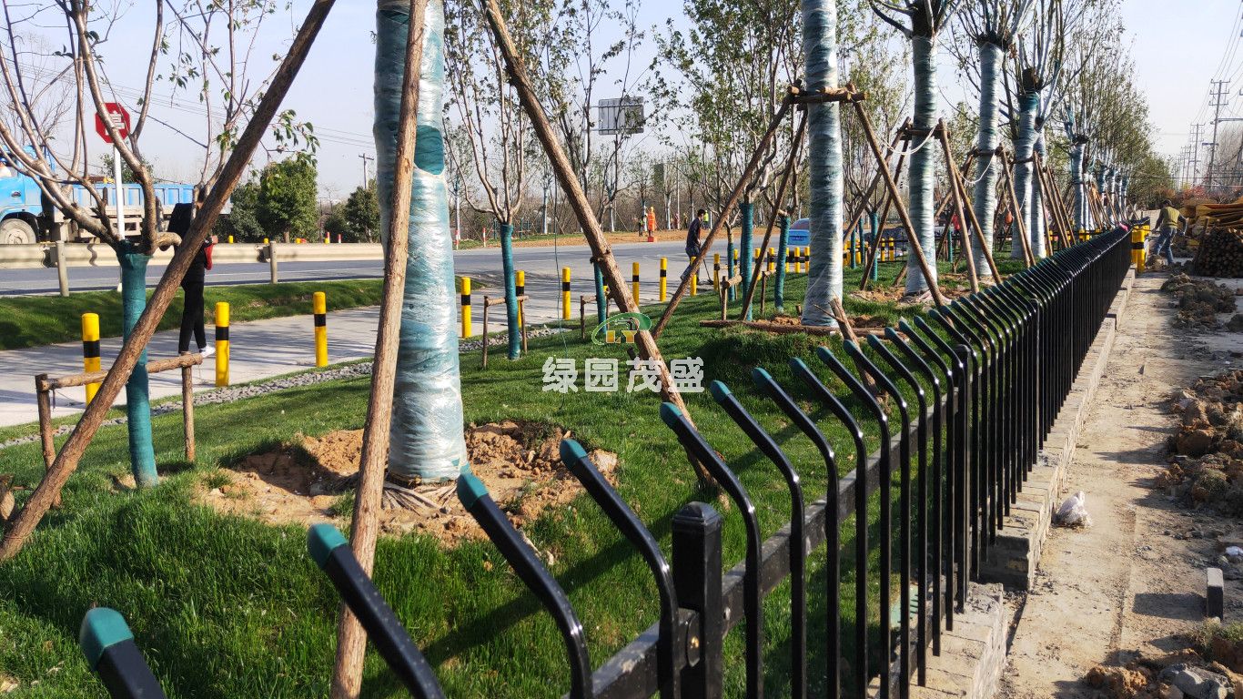 微信图片_20200322073850.jpg