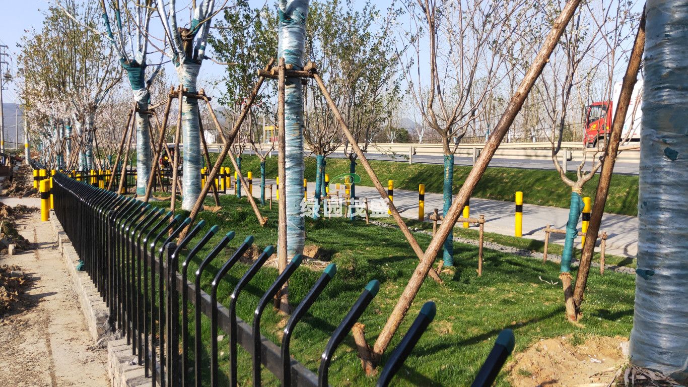 微信图片_20200322073841.jpg